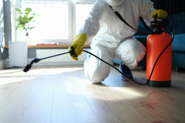 Reliable Hoarding Cleanup contractor in Princeton, NC by Dulley Family Biohazard Services